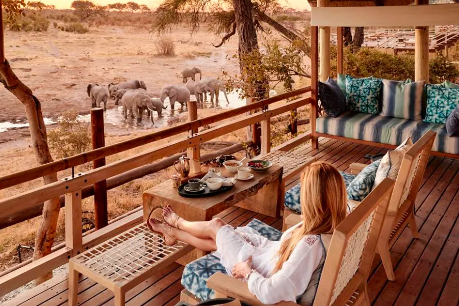 A Botswana Safari for First-Timers: A Beginner’s Guide To Botswana botswana safari tours
