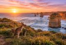 Bells Beach Spring Surf Season and Best Viewing Spots