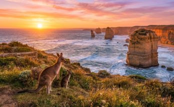 Bells Beach Spring Surf Season and Best Viewing Spots
