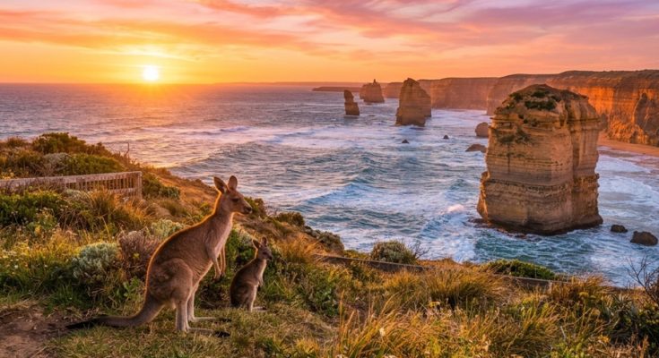 Bells Beach Spring Surf Season and Best Viewing Spots